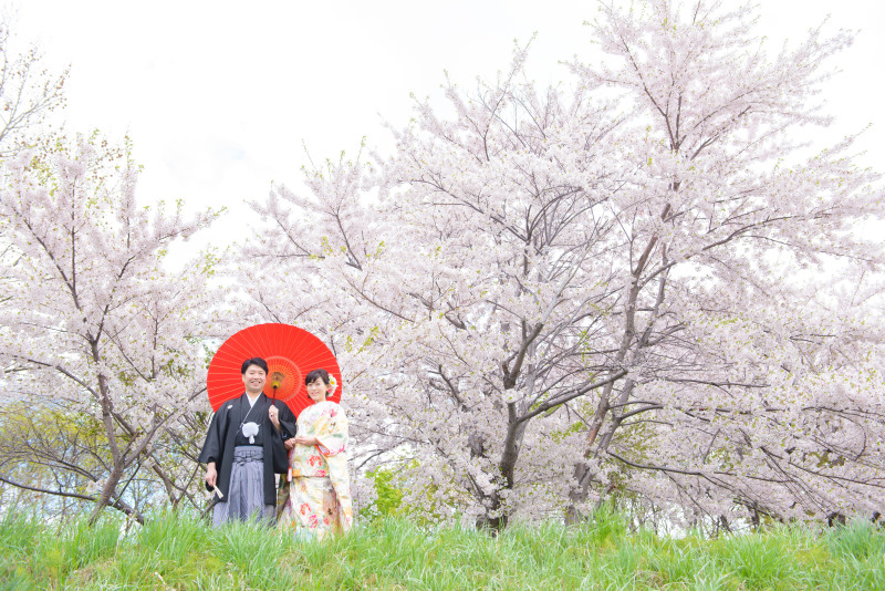 桜計算より1週間早く咲く