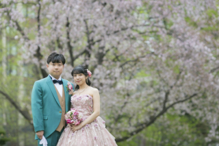 桜の季節家族みんで楽しむフォトウェデイングドレス2点