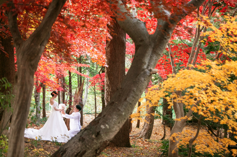 紅葉の地元小樽の公園とステンドグラススタジオ80で撮影ご新婦さまの声