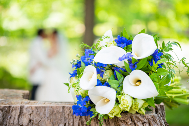 お疲れ様でした