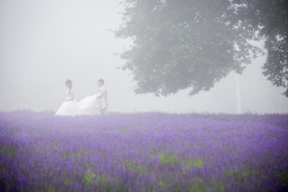 チャペルと幻想的な霧のラベンダ畑でフォトウェデイング
