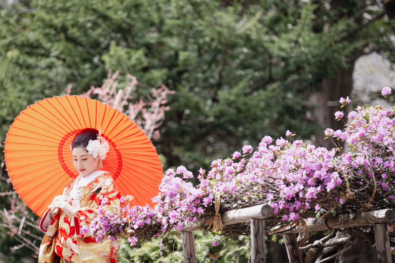 紫のツツジの花と