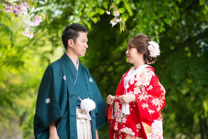 遅咲きの桜が祝福