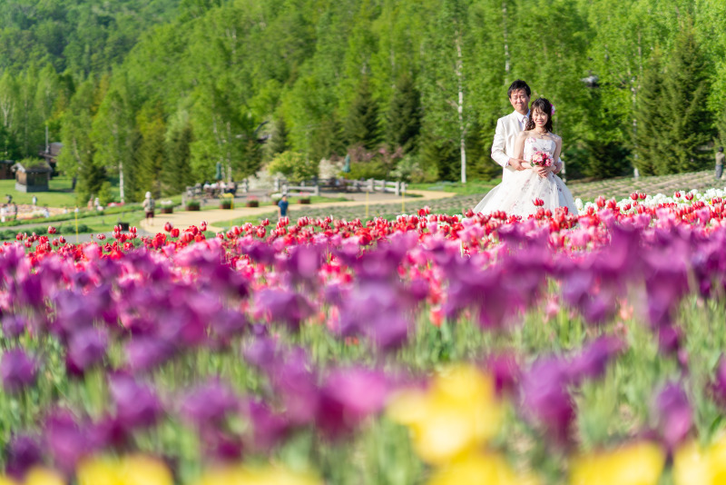 チューリップ満開でお出迎え