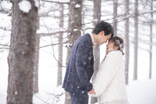 北海道らしい一面の雪と白樺～大阪からのお客様の声