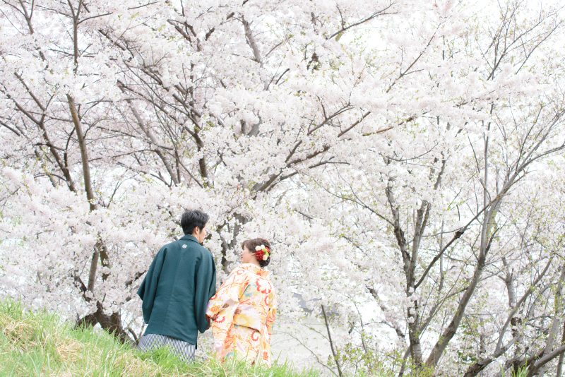 撮影チームの感想をお聞かせください