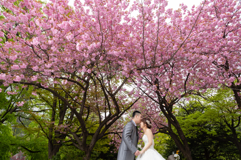 チーム感想をお聞かせください