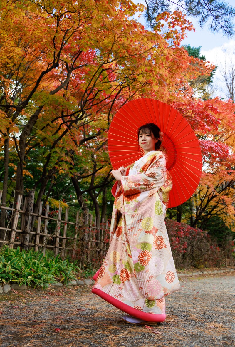 赤い葉、黄金色の葉紅葉