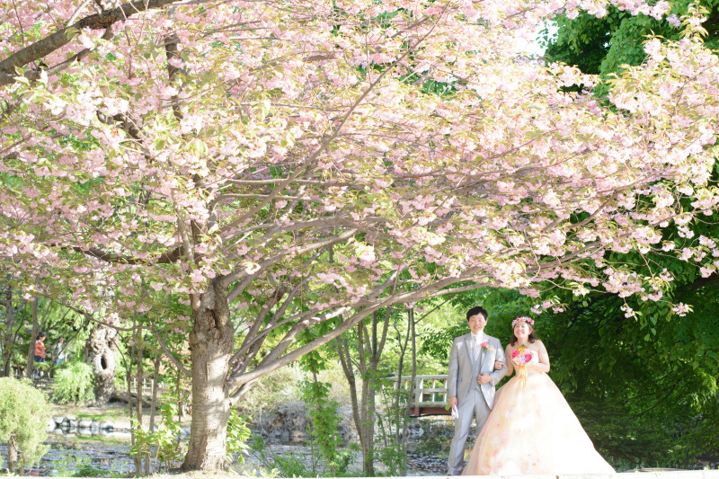 木漏れ日のなかの1枚