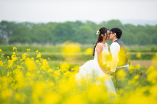 シンガポールから北海道へ、菜の花フォトウェディング体験レポート