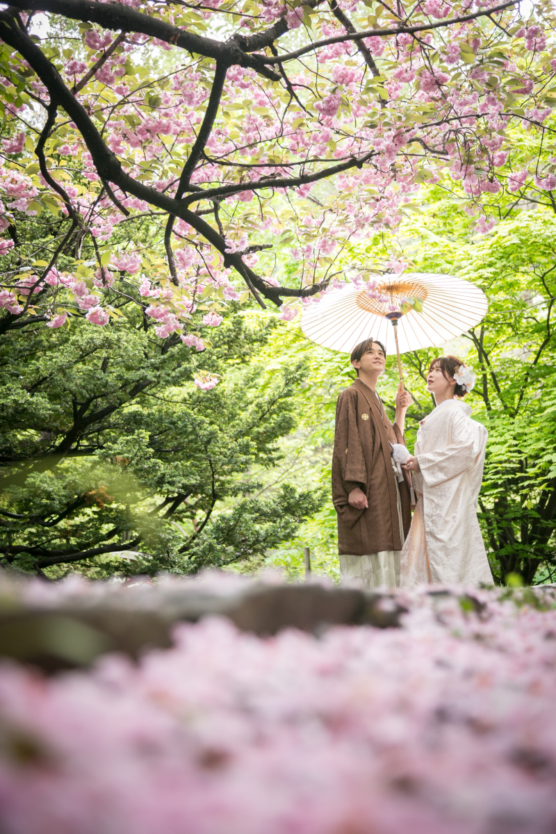 スタートは和装から道庁公園