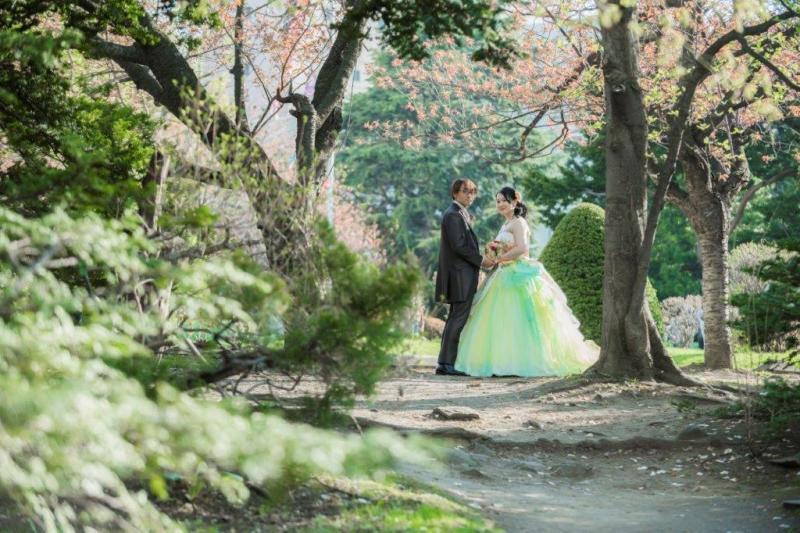 桜は1週間早咲き