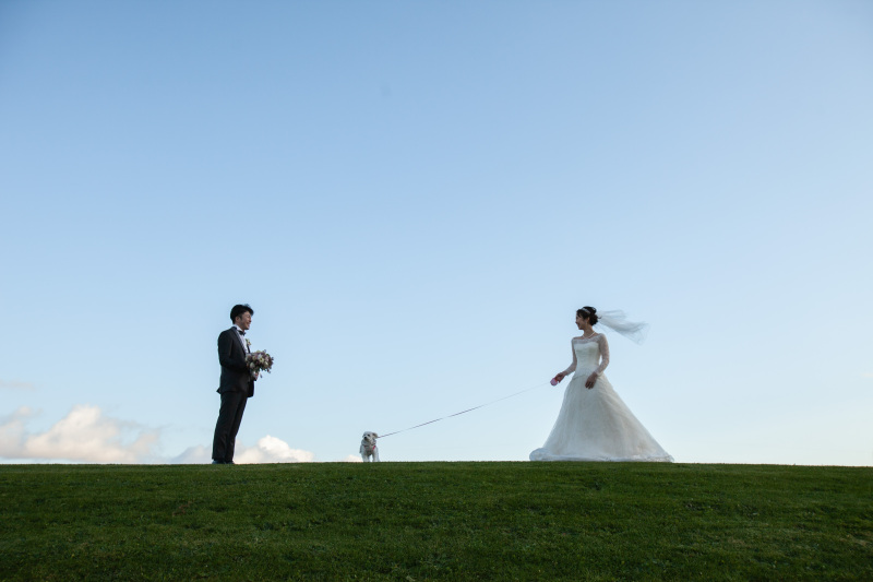 撮影チームの感想(カメラマン)