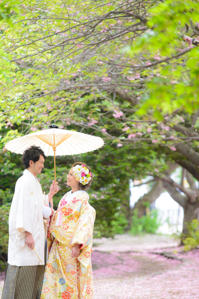 桜の花びらの絨毯