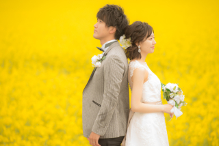 一面の菜の花に囲まれて幸せいっぱいロケーションフォト。埼玉から【お客様の声】