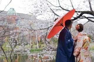 和装＆ドレスで桜ロケーションフォト