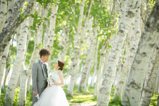 新緑初夏、モエレ沼公園と豊平館の2ヵ所をご希望