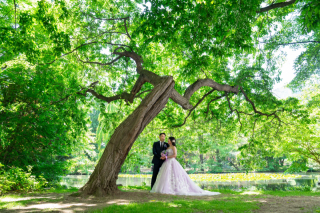 ロケーション重視！ドレス２点でウェディングフォト【お客様の声】