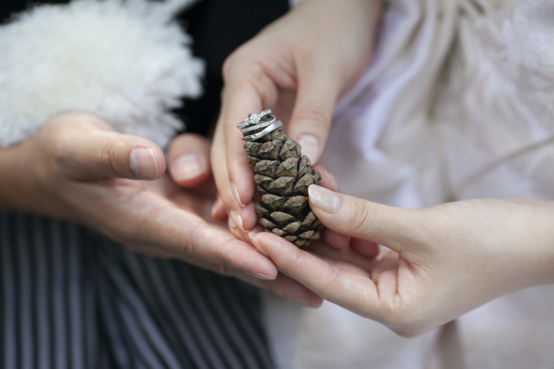 一言メッセージお願いします