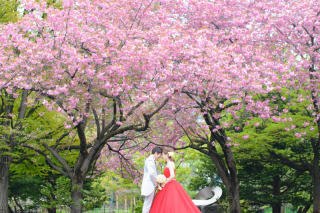 あいにくの雨でスタートした桜のロケーションフォトご新婦奈々さんお客様の声