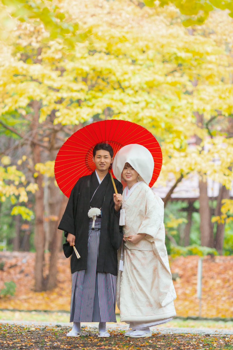 神宮の杜紅葉です