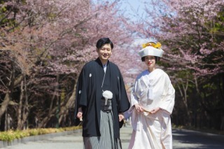 北海道神宮挙式＆ドレスフォトを同日に！桜の下でロケーションフォト【お客様の声】