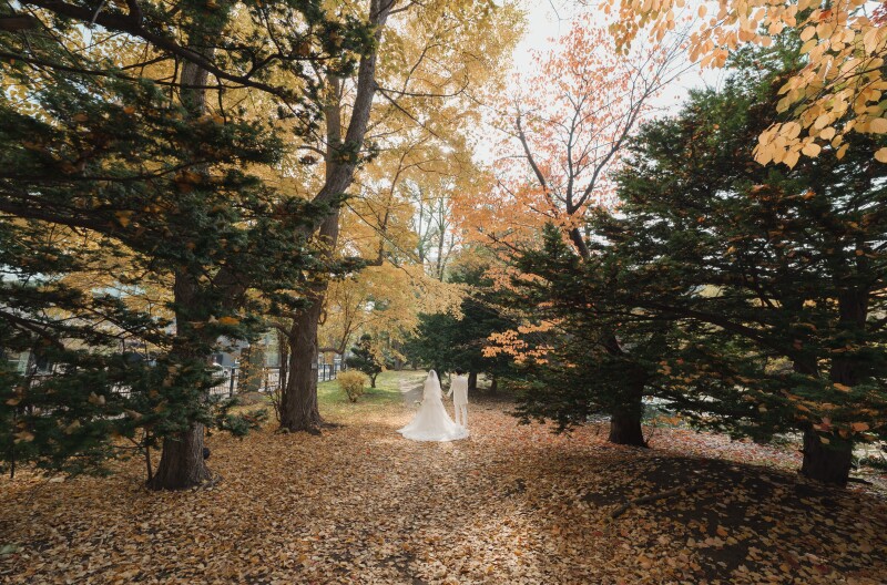 ウエデイングドレスでご準備最初に紅葉で
