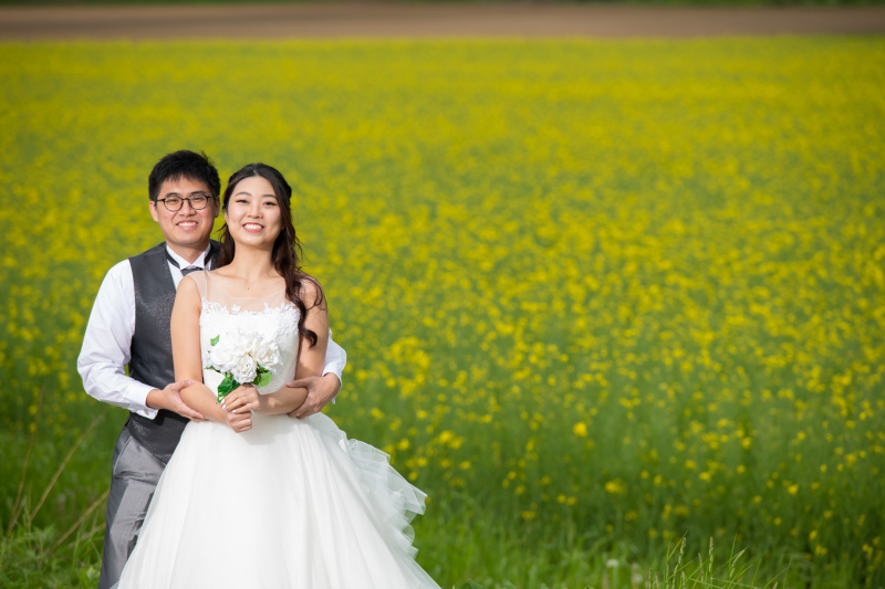 見渡す限りの黄色い絨毯に大感激