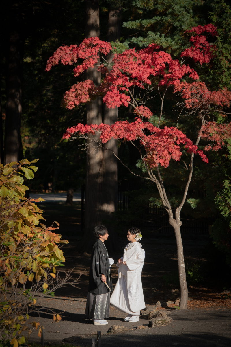 最後に一言メッセージお願いします