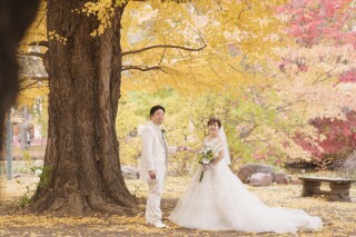 光のチャペル、中島公園、豊平館、旧永山邸、紅葉結婚写真衣裳3点で