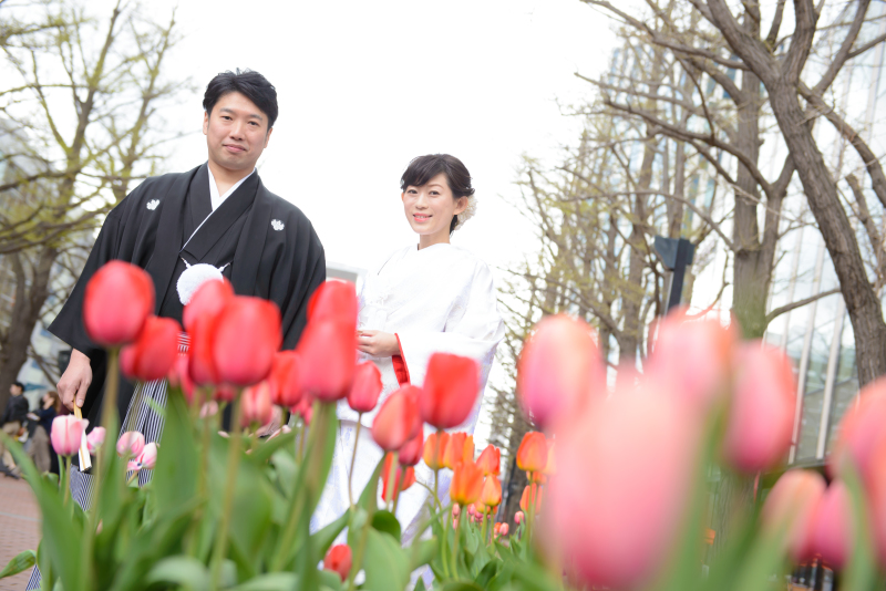 チューリプがお出迎え
