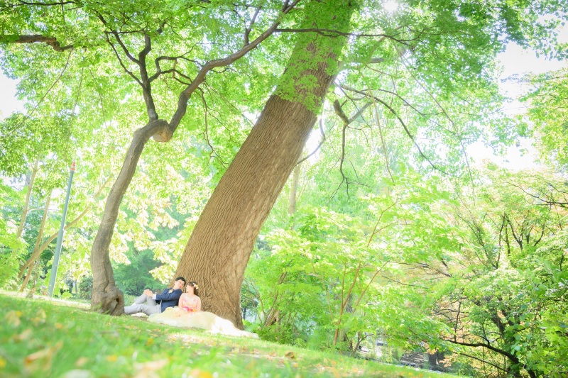 美しい緑の中でのWedding　Photo