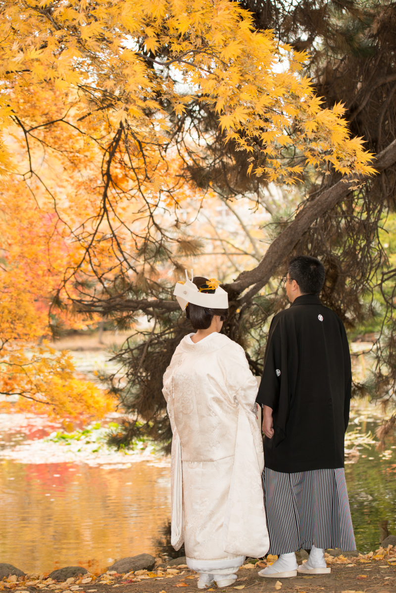 立派な松と椛の一枚