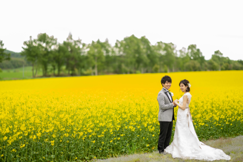 一面に広がる菜の花畑