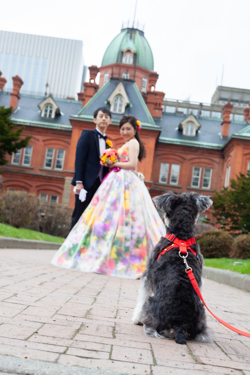 愛犬に見守られ