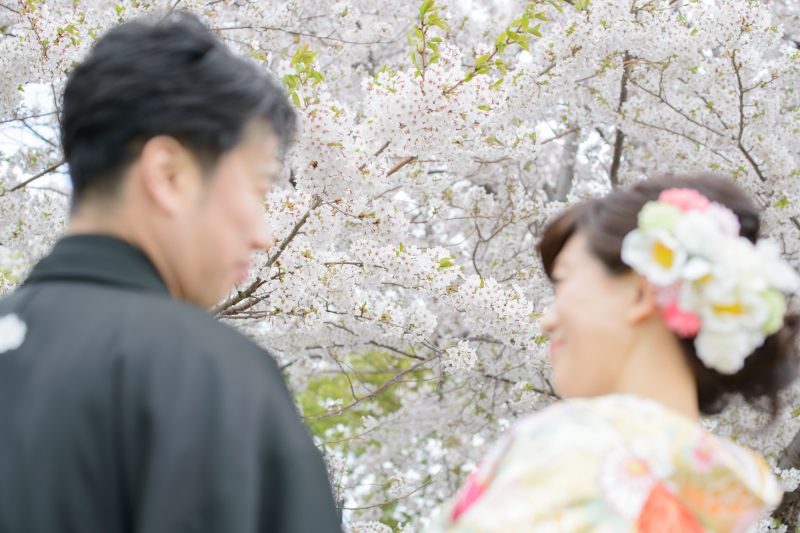 おかげさまで最高の桜で撮影できました