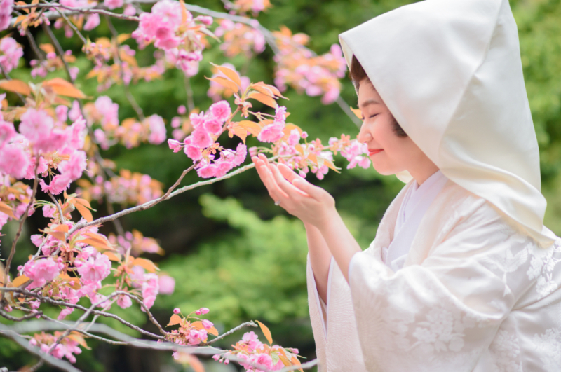 オトナフォトを選んだ理由