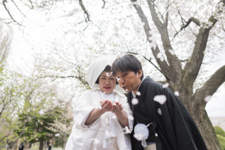 桜で撮影された石田家様写真が趣味の新郎透さんお客様の声