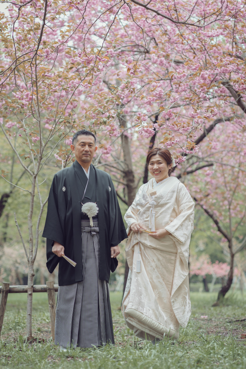 北海道神宮の桜と梅
