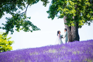 北海道のラベンダー畑で四国の香川から新婚旅行お客様の声