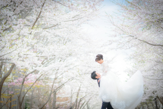 サクラで結婚式に使う写真が撮りたい東京からご新婦さまお客様の声