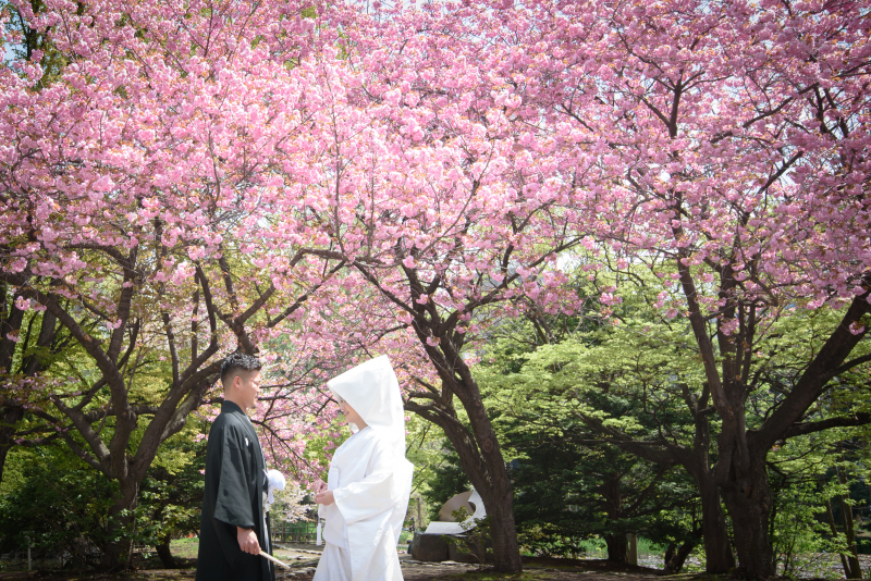 桜の季節撮りたいポーズの希望がたくさんありました