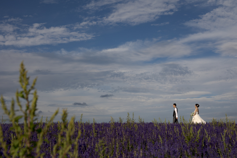 北海道の壮大な風景／色打掛・ウェディングドレス