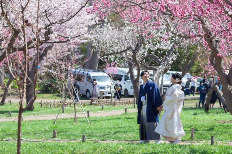 桜ロケーション