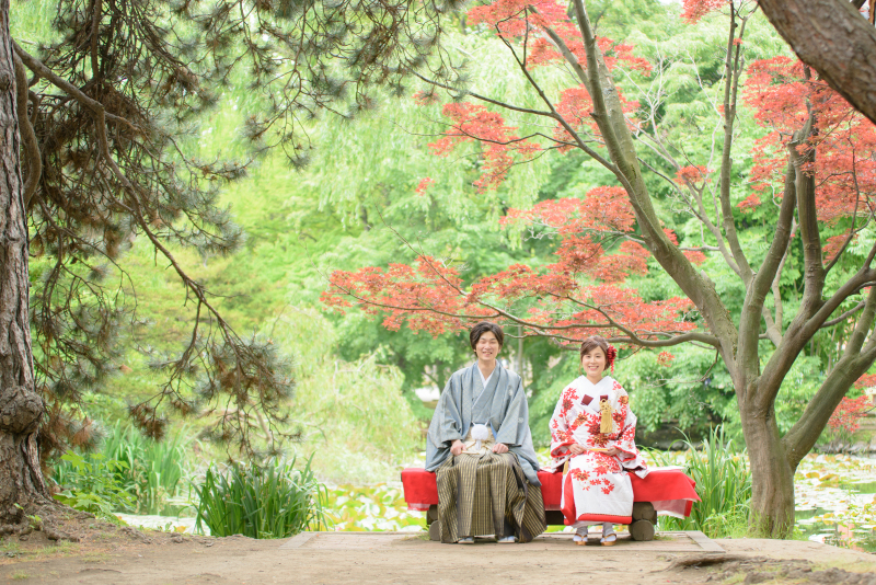 緑が萌える季節の撮影