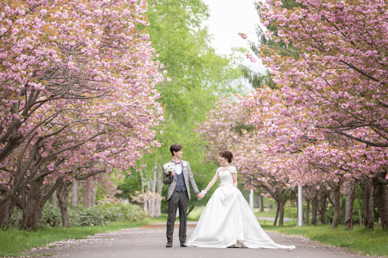 ピンクのかわいい桜フォトウェデイングをご希望のおふたり和洋2点下関から北海道旅行