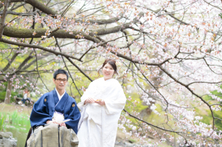 早咲きの桜も祝福衣装3点前撮り体験レポート