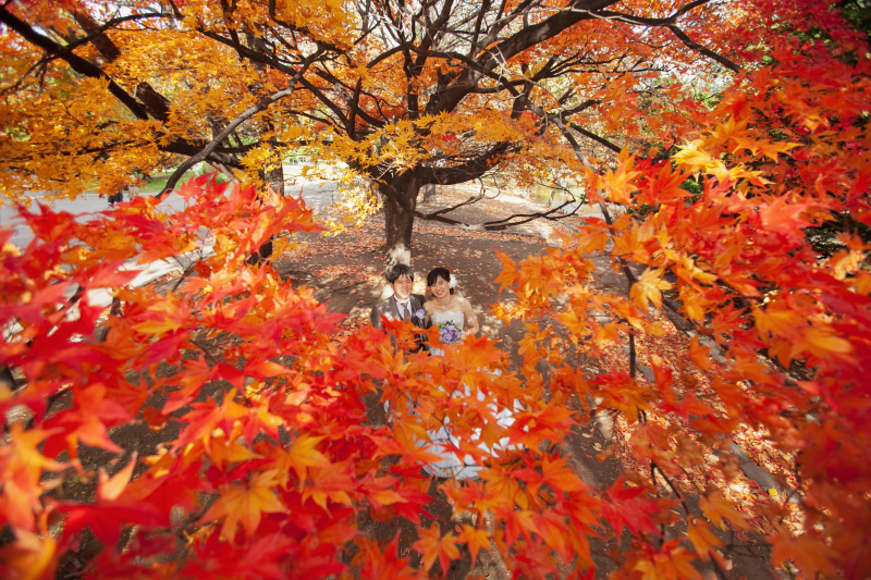 紅葉の間から・・・