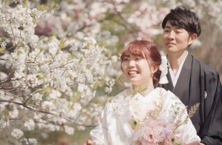 2日間に分けてフォトウェデイング和装2点でサクラと神社そして豊平館