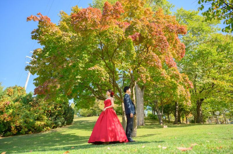 撮影地はおふたりの好きな場所！／ドレス２点